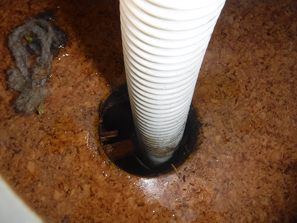 排水管とじゃばらホースを高圧洗浄し、つまりを除去します