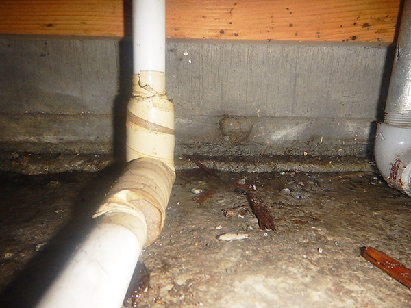 【漏水調査】台所シンクの床下の銅管から水漏れしています。