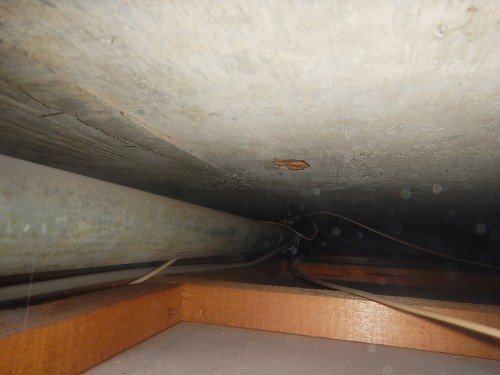 5階の床下排水管
