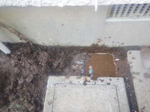 埋設給水管からの漏水を確認