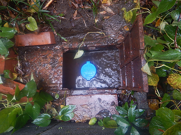 水道メーターの蓋を開けると、メーターが溢れた水につかってしまっています。