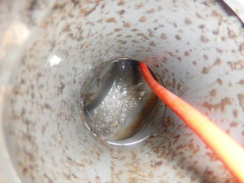 排水マス内部