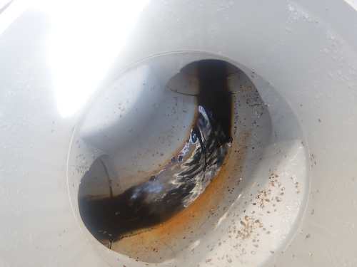サビの混ざった赤茶色の水