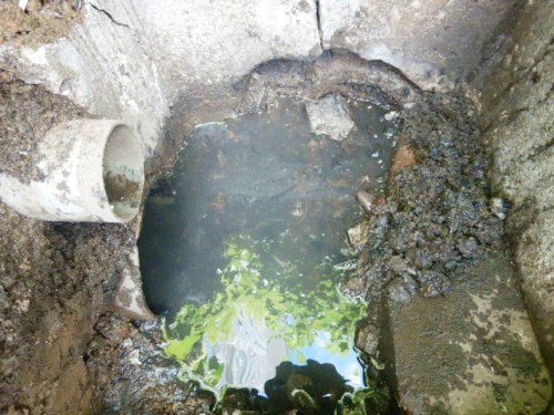 ネズミによる排水パイプの穴あき・マスの陥没