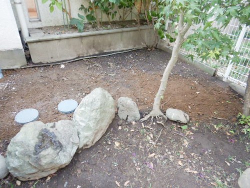 周囲の植栽も伐採